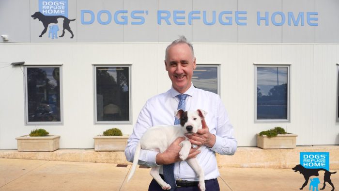 Dr David Honey – WA Liberal Leader: .@DogsRefugeHome is a wonderful organisation whose caring staff helps …