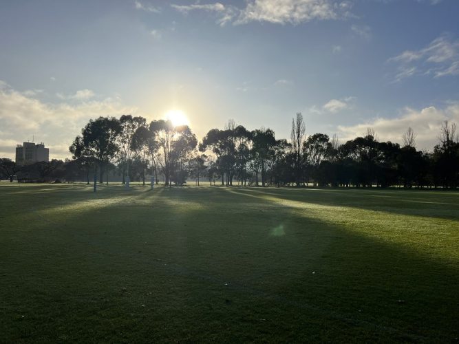 Stunning Adelaide morning.  #Footy #Parklands ...