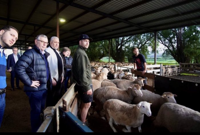 At the last election, Labor committed to phase out live sheep...