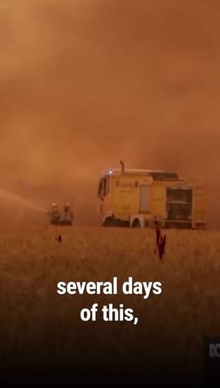 Record-breaking heatwaves and devastating fires across the U...