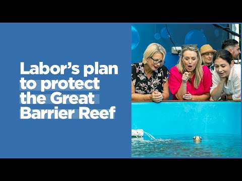 Labor's plan to protect the Great Barrier Reef | Press conference from Fitzroy Island
