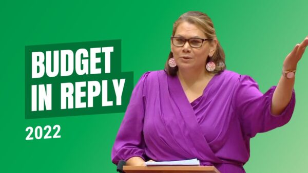 Budget in Reply 2022 – Senator Dorinda Cox