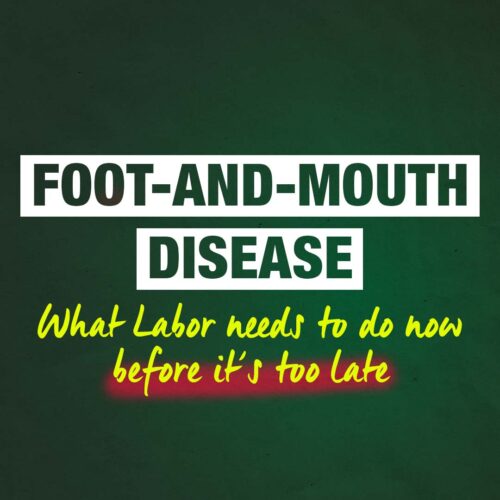 The Labor Government just needs to be decisive and do the fo...
