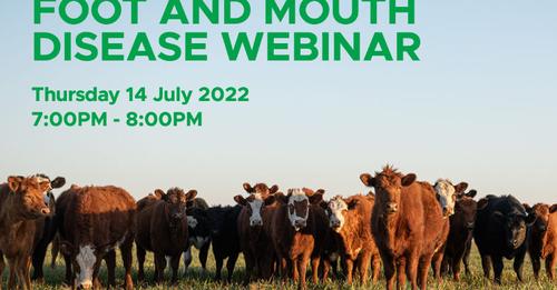 Foot and Mouth Disease Webinar: catch-up recording and resources