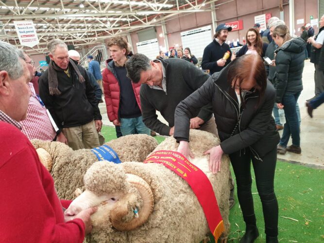 Peter Walsh: Thrilled to be back at Australian Sheep & Wool Show in Bendi…