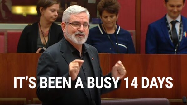 Queensland Greens: It’s been a busy 14 days