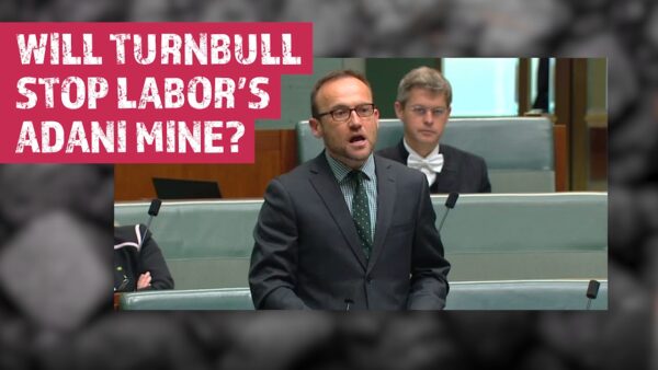 Queensland Greens: Will Turnbull stop Labor’s Adani mega-mine?