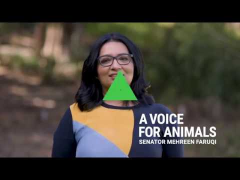 The Greens NSW: Senator Mehreen Faruqi – A Voice For Animals