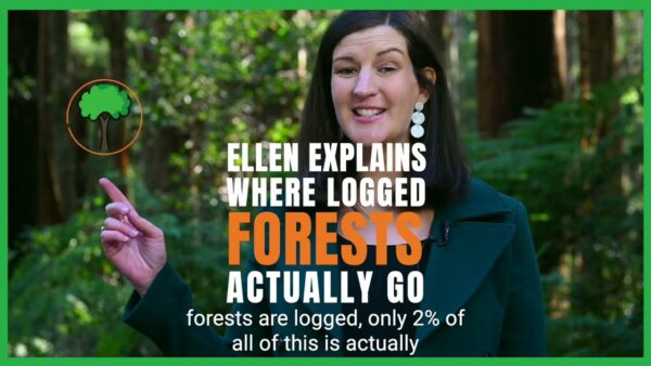 Most of our logged forest ends up as waste or disposable products 😱