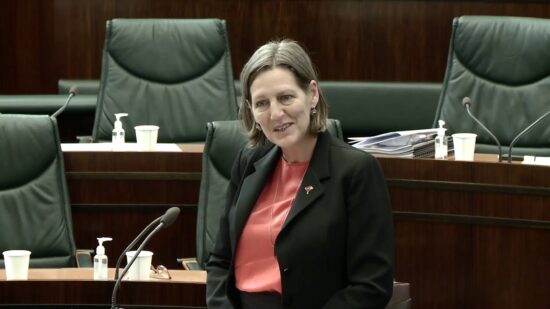 Aboriginal Flag Permanent Presence above Parliament House, Cassy O'Connor MP, 11 November 2020