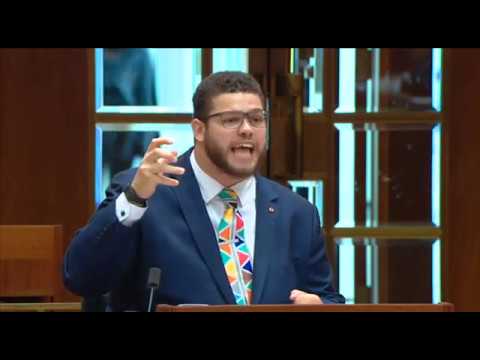 Senator Jordon Steele-John - NDIS Streamlined Governance Bill