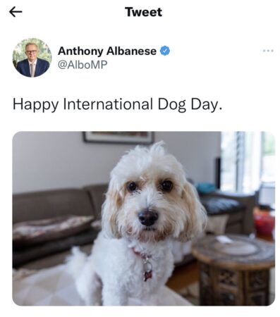 So the Prime Minister can acknowledge his dog on International Day of ...