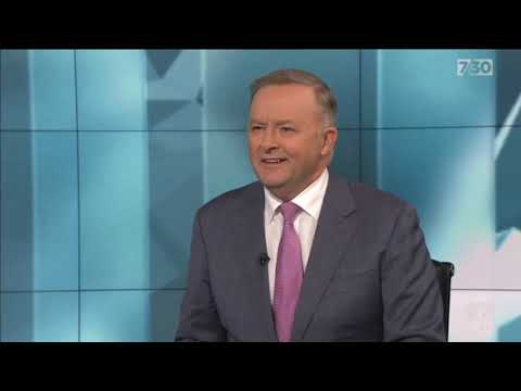 Anthony Albanese MP: 7.30 Report – 20 May 2019