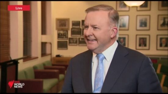 Anthony Albanese MP: Anthony Albanese Interview with SBS World News – 29 May 2019