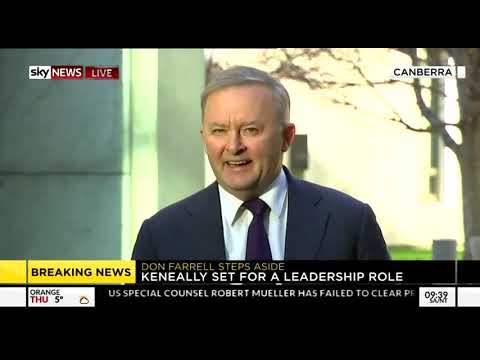 Anthony Albanese Press Conference - Parliament House - 30 May 2019