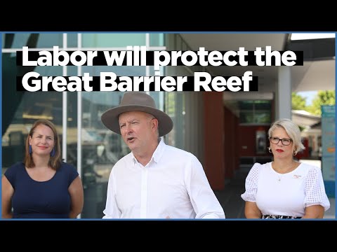 Labor will protect the Great Barrier Reef