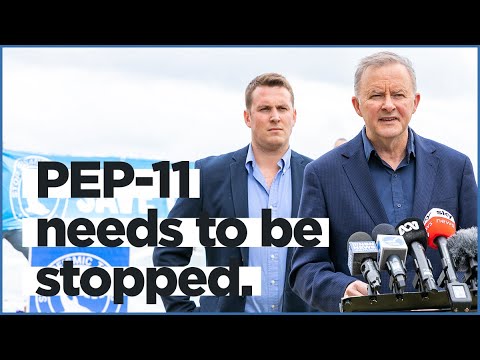 PEP-11 needs to be stopped | with Dr Gordon Reid