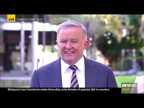 Anthony Albanese MP: Press Conference 28 May 2019 – ABC News 24