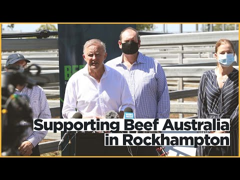 Supporting Beef Australia in Rockhampton