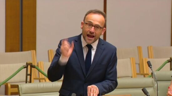 Australian Greens: Adam Bandt on the bushfire crisis: The Prime Minister fiddled while his country burned