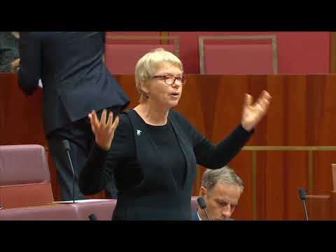 Janet on Fraser Anning's racist first speech