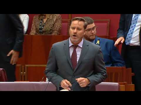 Senator Whish-Wilson attempts to debate a motion on the human rights abuses in Yemen