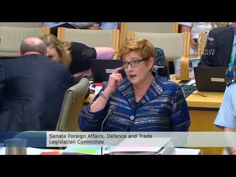 Senator Whish-Wilson grills the government on their plans to boost weapons exports