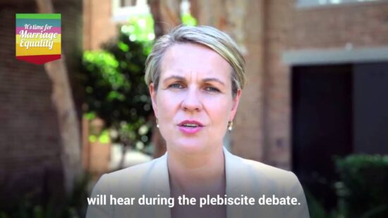 Labor's stance on marriage equality at Mardi Gras 2016