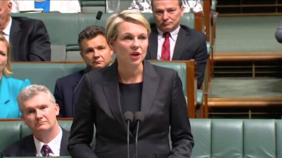 Australian Labor Party: Tanya Plibersek addresses Parliament on the passing of Gough Whitlam