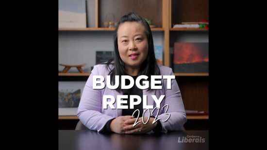 Budget Reply 2023