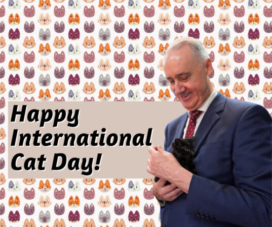 Dr David Honey – WA Liberal Leader: Happy International Cat Day!  Especially to my friends at @CatHavenWA,…