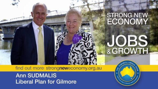 Ann Sudmalis, Member for Gilmore