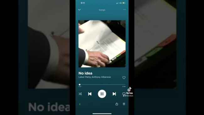 Another example of why Albanese is not up to the job. #anthonyalbanese #youtubeshorts