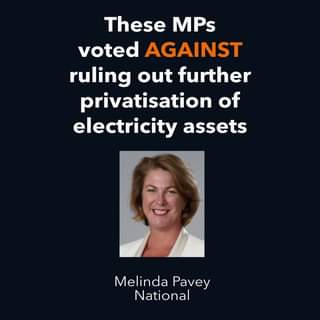 Guess who voted against ruling out any further privatisation of electr...