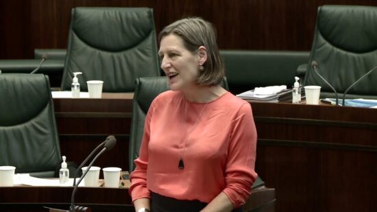 Aboriginal Flag - Permanent Presence above Parliament House, Cassy O'Connor MP, 11 November 2020