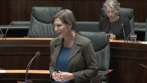 Tasmanian Greens MPs: Adjournment on horse carcasses found near Zoodoo: O’Connor 30 July, 2019