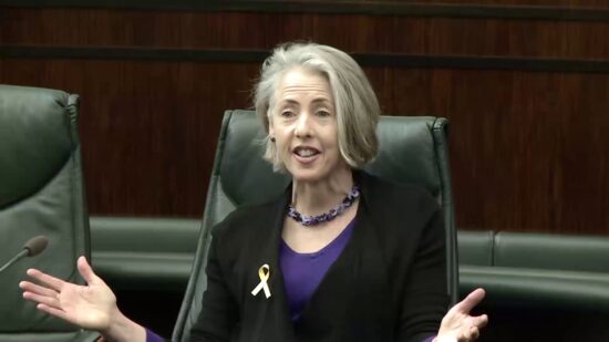 Budget 2020-21 - Climate Change, Dr Rosalie Woodruff MP, 17 November 2020