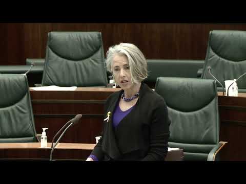 Budget 2020-21 - Tasmanian Job Guarantee, Dr Rosalie Woodruff MP, 17 November 2020