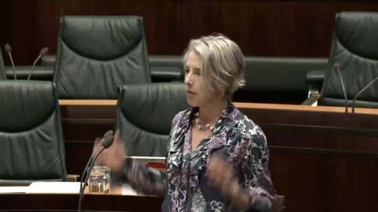 Tasmanian Greens MPs: Increasing Bushfire Severity: Rosalie Woodruff, 13 November, 2019