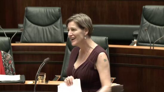 Tasmanian Greens MPs: Inspection of Youth Custodial Services Report, Cassy O’Connor, 17 October, 2019