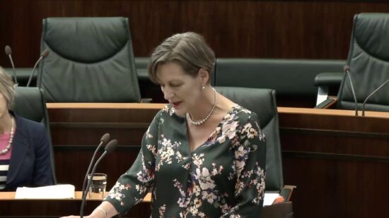 Tasmanian Greens MPs: Press Review and AFAC Review Bushfire Recommendations: Cassy O’Connor, 12 November, 2019