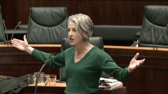 Tasmanian Greens MPs: Right to Protest: Rosalie Woodruff, 14 November, 2019