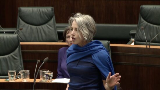 Tasmanian Greens Mps Southern Tasmania Total Fire Ban Rosalie Woodruff 29 October 2019