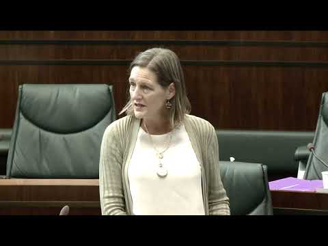 State Service Employees Allegations, Cassy O'Connor, 2 March 2021