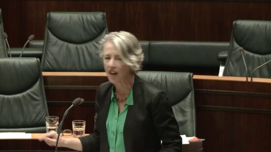 Tasmanian Greens MPs: WorkSafe Tasmania and the Bob Brown Foundation: Rosalie Woodruff, 5 March, 2020