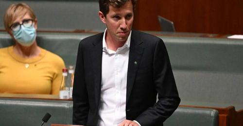 Greens MP slams political establishment