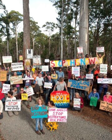 BREAKING: Labor has passed laws to jail peaceful logging protesters in...