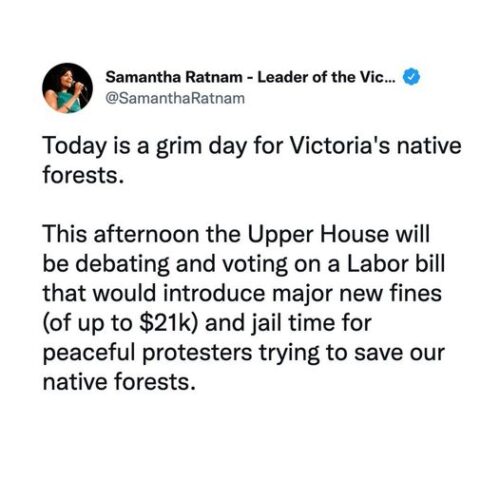 It’s a grim day for our irreplaceable native forests — and for our dem...