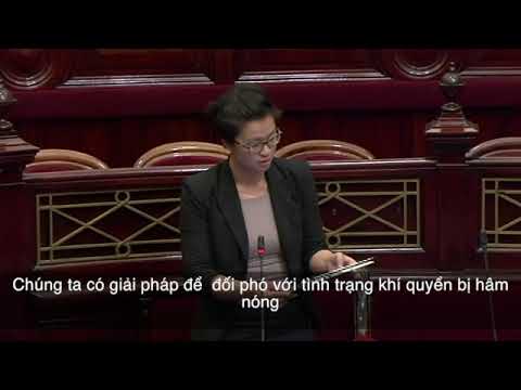 The single most important issue of our time - Huong Truong (Vietnamese Subtitles)