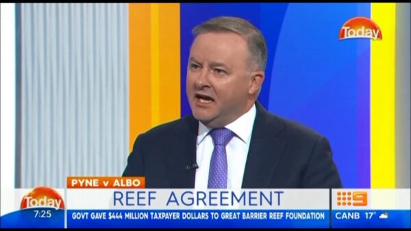 Anthony Albanese MP: The Today Show – Great Barrier Reef Foundation – The Fish Stinks from the Head